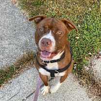 Thumbnail photo of Jortek #3