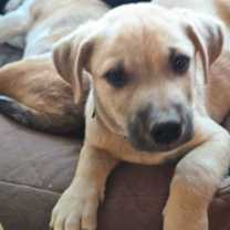 Thumbnail photo of Sokka #3