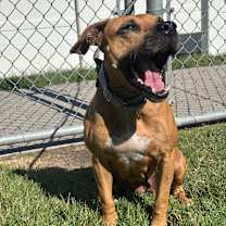 Thumbnail photo of Matilda #2