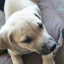 Thumbnail photo of Sokka #4