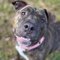 Thumbnail photo of Lilly #2