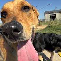 Thumbnail photo of Charley #3