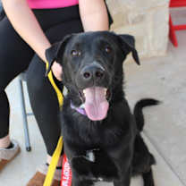 Thumbnail photo of Indra #1