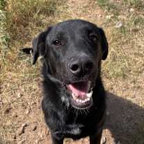 Thumbnail photo of Indra #2