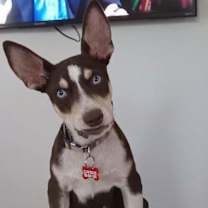 Thumbnail photo of Kane #1