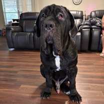 Thumbnail photo of Koba #2