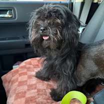 Thumbnail photo of Tenny  #3