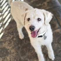 Thumbnail photo of Casper #4