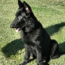 Thumbnail photo of Viviana #2