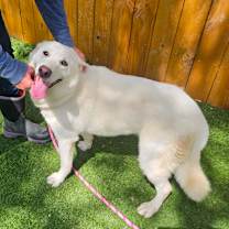 Thumbnail photo of Arabella JuM #3