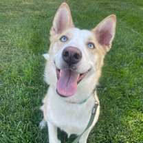 Thumbnail photo of Pumpkin #3