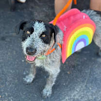 Thumbnail photo of Calypso Henson #3