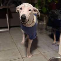 Thumbnail photo of Pillsbury #2