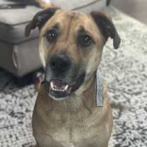 Thumbnail photo of Bruce #2