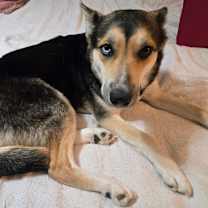 Thumbnail photo of Coco #2