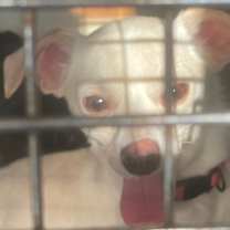 Thumbnail photo of Russell #1