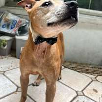 Thumbnail photo of Quagmire #3