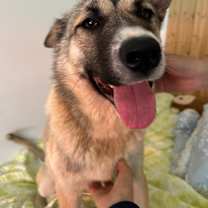 Thumbnail photo of Rocket #3