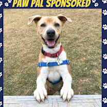 Thumbnail photo of Aster Lee #1