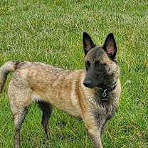 Thumbnail photo of Minka - Located in OR #2