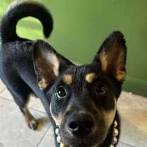 Thumbnail photo of Mirabel #3