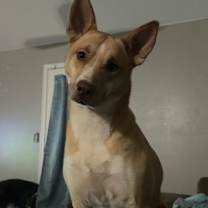 Thumbnail photo of Maeve #1