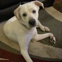 Thumbnail photo of WYATT #2