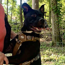 Thumbnail photo of Joseph #1