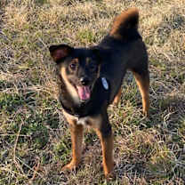 Thumbnail photo of Harry #3