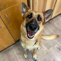 Thumbnail photo of Echo #2