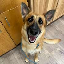 Thumbnail photo of Echo #3