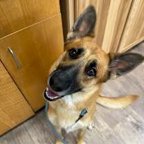 Thumbnail photo of Echo #4