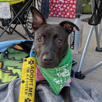 Thumbnail photo of Denise #1