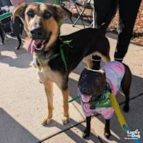 Thumbnail photo of Denise #3