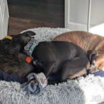 Thumbnail photo of Denise #4