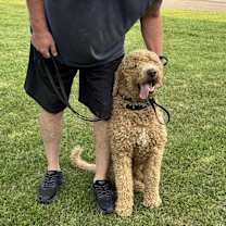 Thumbnail photo of Bentley #3