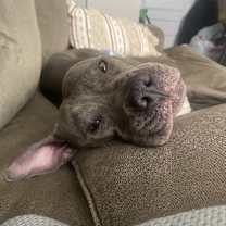 Thumbnail photo of Pumpkin #4