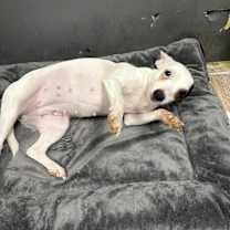 Thumbnail photo of Hugs #2