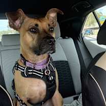 Thumbnail photo of Shae #3