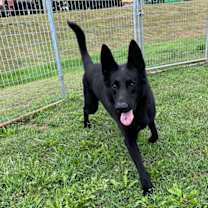 Thumbnail photo of Kane #1