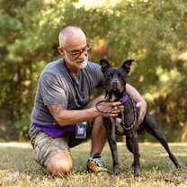 Thumbnail photo of Hugo #1