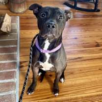 Thumbnail photo of Hugo #2