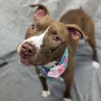 Thumbnail photo of Magdalena #3