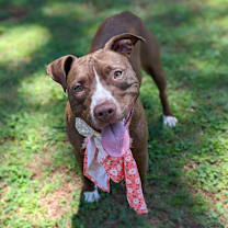 Thumbnail photo of Magdalena #4