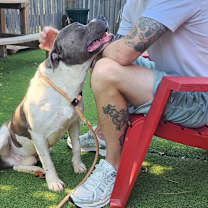 Thumbnail photo of Peele #2