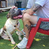 Thumbnail photo of Peele #3