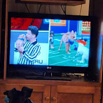 Thumbnail photo of Mickey #1