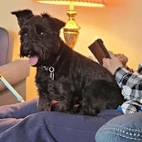 Thumbnail photo of Mickey #3