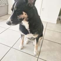 Thumbnail photo of Sky #1