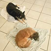 Thumbnail photo of Sky #2